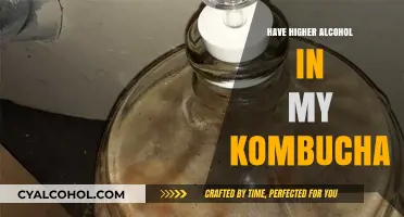 Boosting Alcohol Content in Kombucha: Tips for a Stronger Brew