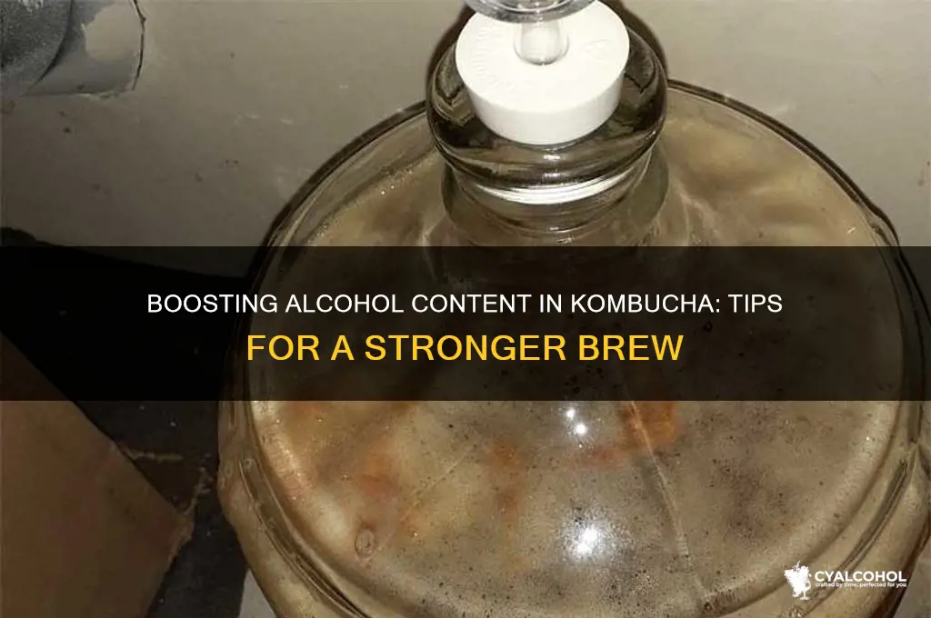 have higher alcohol in my kombucha