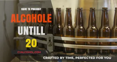 Prohibiting Alcohol Until 20: A Necessary Step for Youth Health?