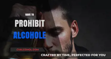 Prohibiting Alcohol: Why It’s Necessary for Public Health and Safety