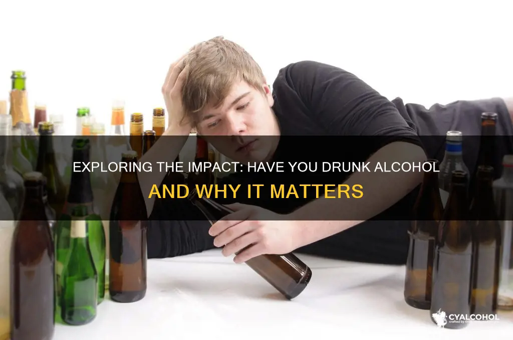 have you drunk alcohol