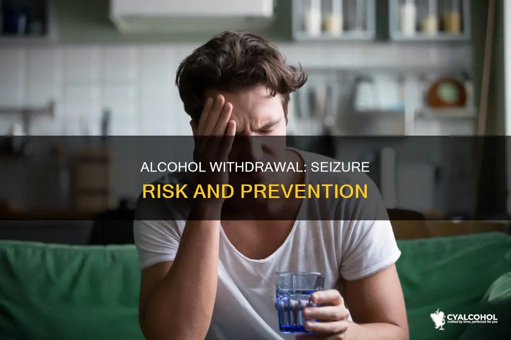 have you ever had a seizure from alcohol withdrawal