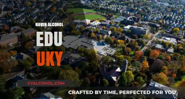 Haven Alcohol Edu UKY: Empowering Students for Responsible Choices