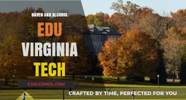 Virginia Tech's Haven and AlcoholEdu: Navigating Campus Safety and Wellness