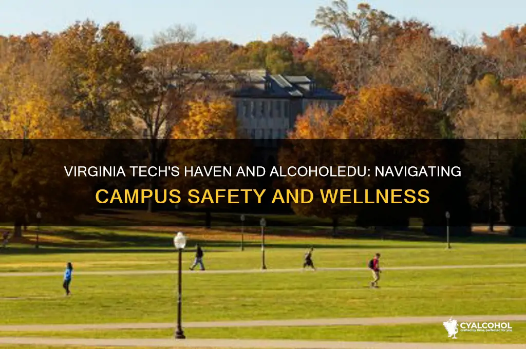 haven and alcohol edu virginia tech