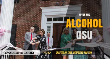 Haven and Alcohol GSU: Navigating Resources and Support for Students