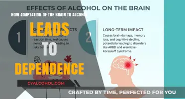 Brain Adaptation: Alcohol Dependence Explained