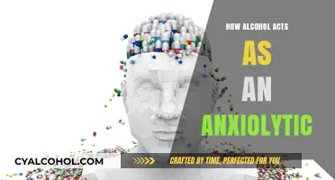 Alcohol's Anxiolytic Effects: How It Temporarily Reduces Anxiety Symptoms