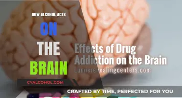 Unveiling Alcohol's Impact: How It Alters Brain Function and Behavior
