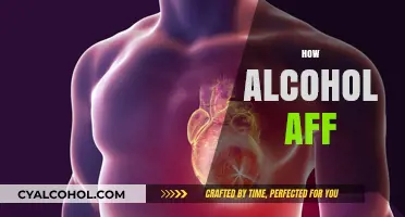 How Alcohol Affects Your Health, Mind, and Daily Life