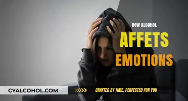 Alcohol's Emotional Impact: Unraveling Mood Swings and Feelings