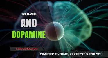 Alcohol's Dopamine Effect: Understanding the Brain's Reward System