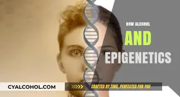 Alcohol's Epigenetic Impact: Unraveling DNA Modifications and Health Consequences