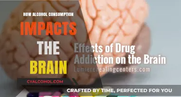 Alcohol's Brain Effects: Uncovering Cognitive and Neurological Consequences