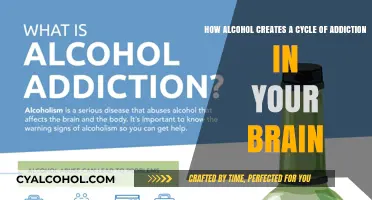 Alcohol Addiction: Brain's Cycle of Craving and Reward