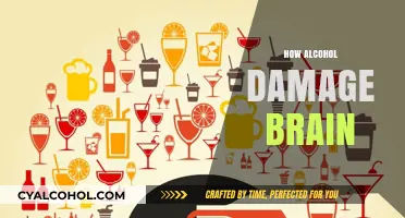Alcohol's Silent Assault: Uncovering Brain Damage and Cognitive Decline