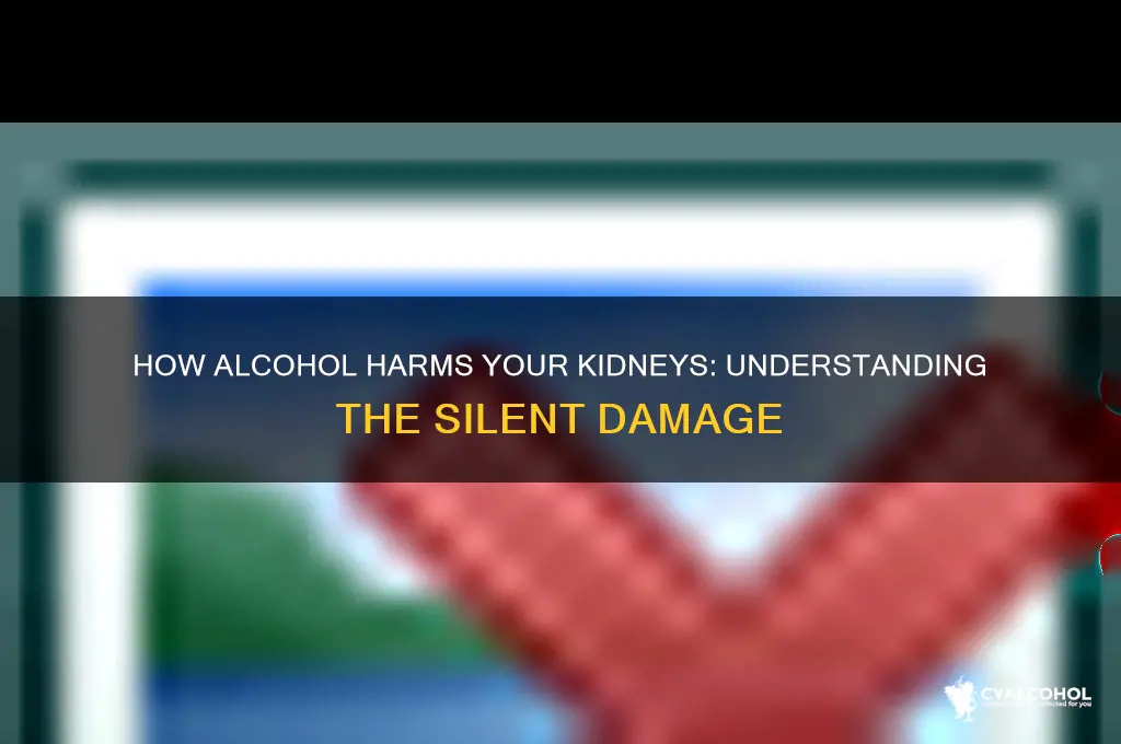 how alcohol damage kidney