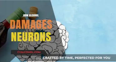 Alcohol's Toxic Impact: Understanding How Drinking Destroys Neurons