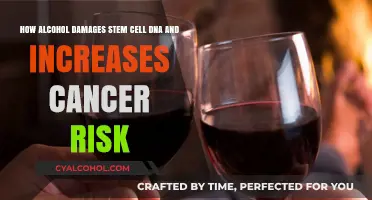 Alcohol, Stem Cells, and Cancer: A Dangerous Mix