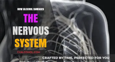 Alcohol's Devastating Impact: Unraveling Nervous System Damage and Consequences