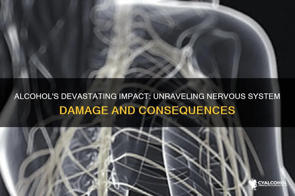 how alcohol damages the nervous system