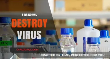 Alcohol's Power: How It Destroys Viruses and Protects Your Health