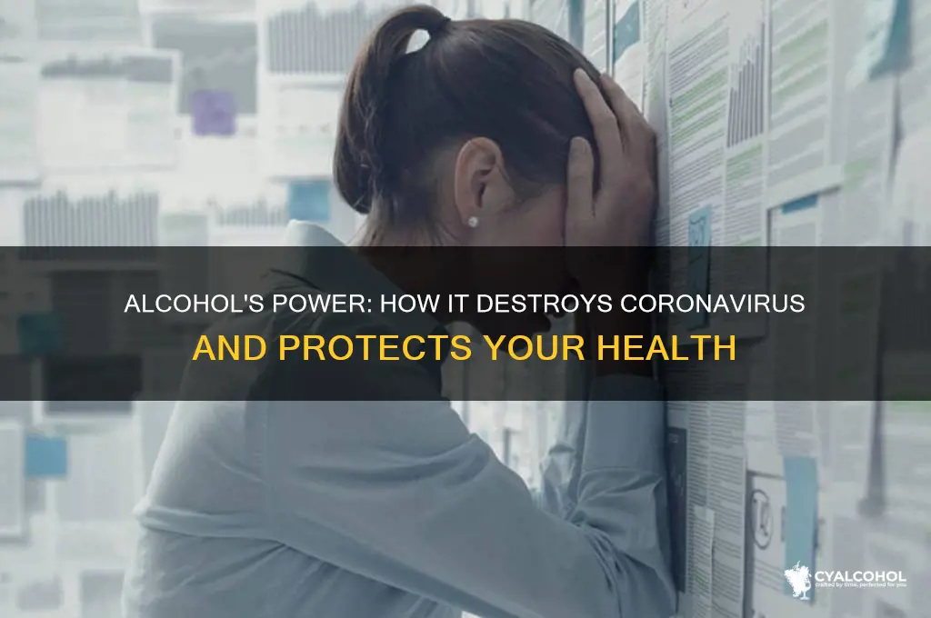 how alcohol destroys coronavirus