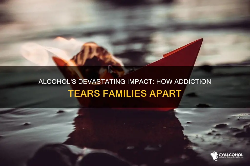 how alcohol destroys families
