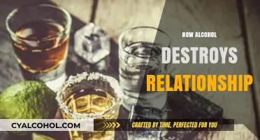 Alcohol's Grip: How Addiction Erodes Trust and Destroys Relationships