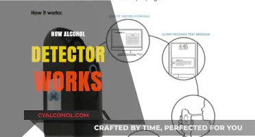 Understanding Alcohol Detectors: How Breathalyzers Detect Intoxication Levels