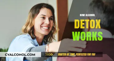 Understanding Alcohol Detox: Process, Benefits, and Safe Recovery Steps