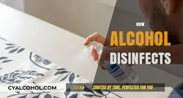 Alcohol as a Disinfectant: How It Kills Germs and Bacteria