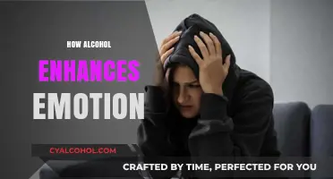 Alcohol's Emotional Amplifier: Unveiling Its Impact on Feelings and Mood
