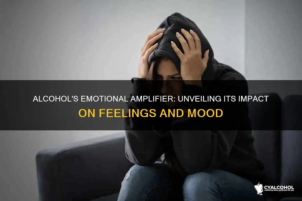 how alcohol enhances emotion