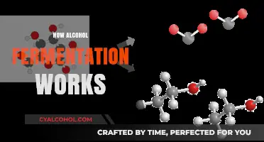 Unveiling the Science Behind Alcohol Fermentation: A Step-by-Step Guide
