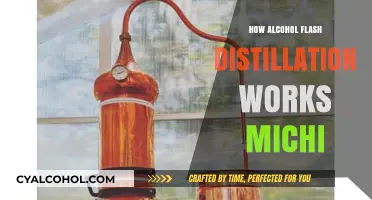 Understanding Michi's Alcohol Flash Distillation Process: A Comprehensive Guide