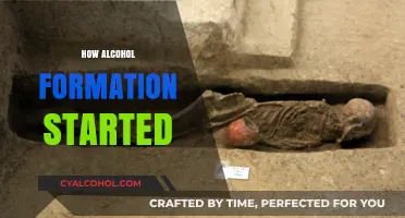 The Ancient Origins of Alcohol: A Journey Through Fermentation History