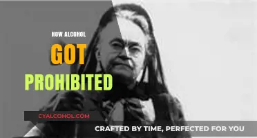 The Rise and Fall of Prohibition: How Alcohol Was Banned