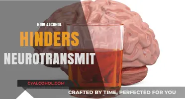 Alcohol's Impact: Disrupting Neurotransmitter Communication in the Brain