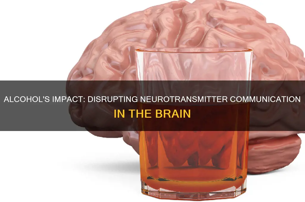 how alcohol hinders neurotransmitters