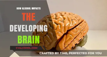 Alcohol's Effects on the Developing Brain: Risks and Long-Term Consequences