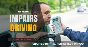 Alcohol's Impact: Understanding How Drinking Impairs Driving Abilities