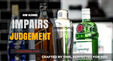 Alcohol's Grip: Understanding How Drinking Clouds Decision-Making and Judgment