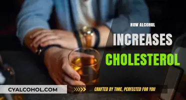 Alcohol's Impact: How Drinking Raises Your Cholesterol Levels