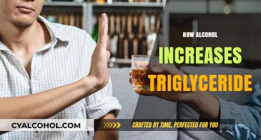 Alcohol's Impact: How Drinking Elevates Triglyceride Levels in Your Body