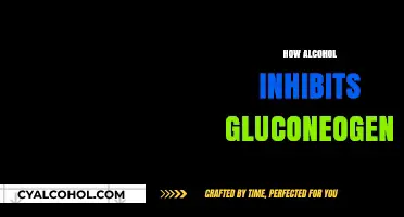 Alcohol's Impact: How Drinking Disrupts Gluconeogenesis and Blood Sugar Balance
