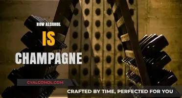 From Grapes to Bubbles: The Alcoholic Journey of Champagne