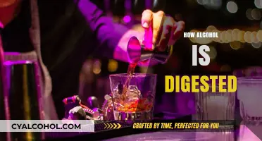 Understanding Alcohol Digestion: A Comprehensive Guide to How Your Body Processes Alcohol