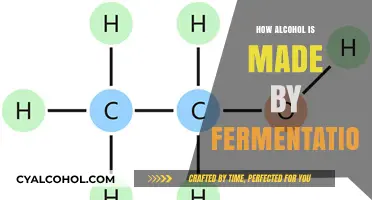 The Art of Fermentation: Unveiling Alcohol's Transformation Process
