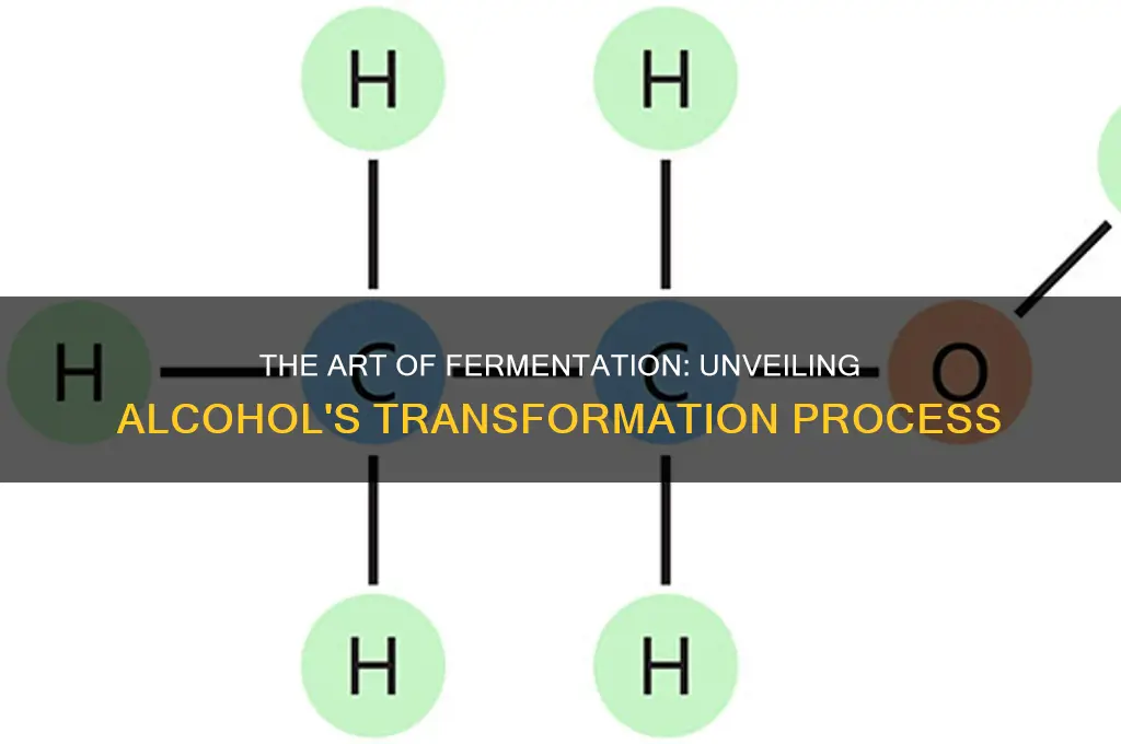how alcohol is made by fermentation